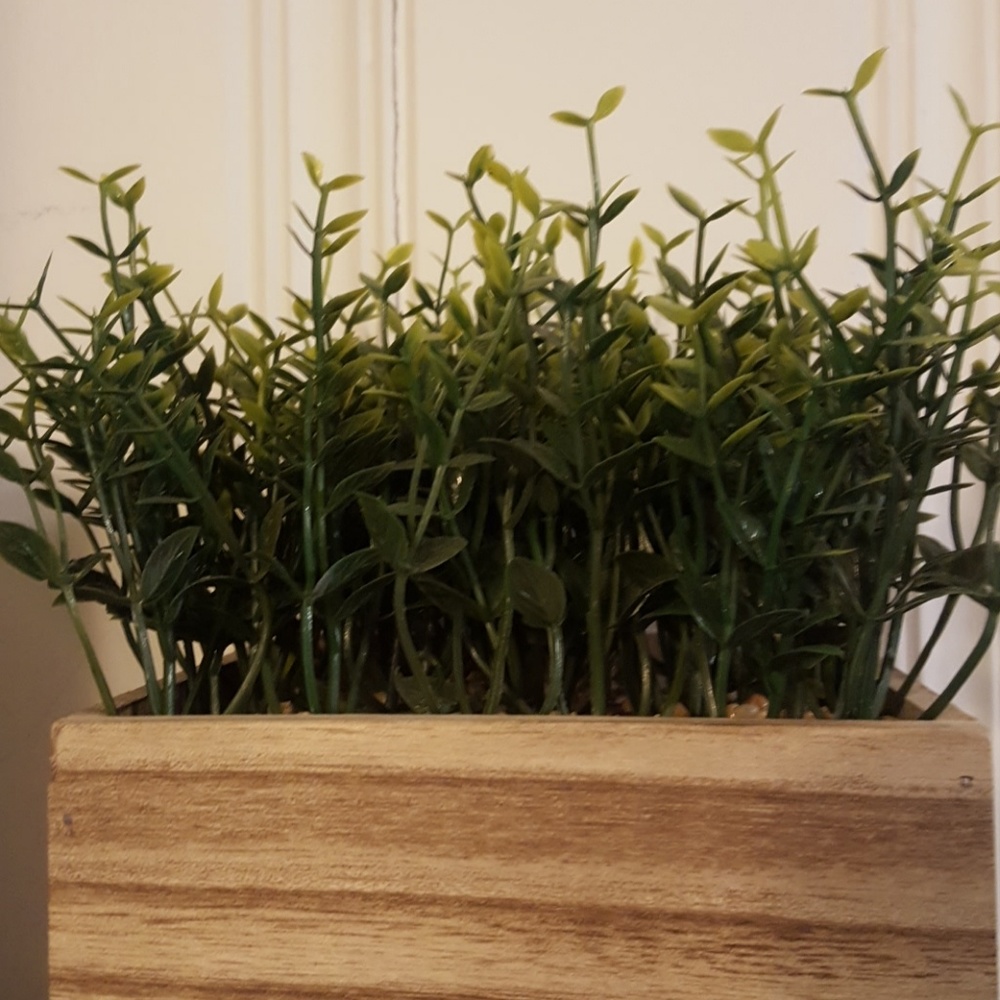 Meet your Posher, Morgan